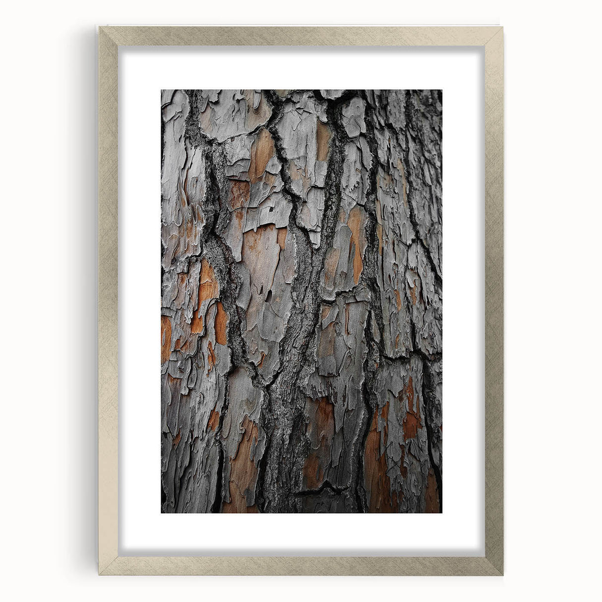 Rustic Tree Bark Texture Wall Art – Nature-Inspired Farmhouse Decor