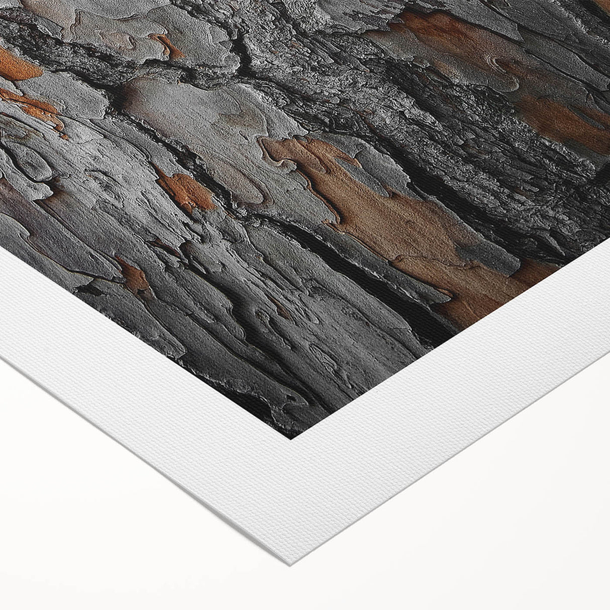 Rustic Tree Bark Texture Wall Art – Nature-Inspired Farmhouse Decor