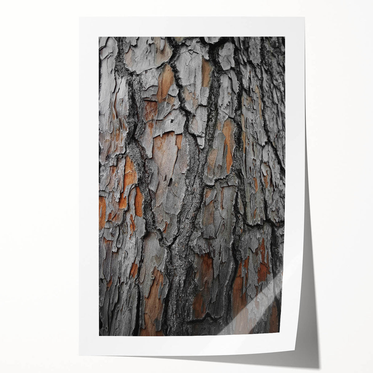 Rustic Tree Bark Texture Wall Art – Nature-Inspired Farmhouse Decor
