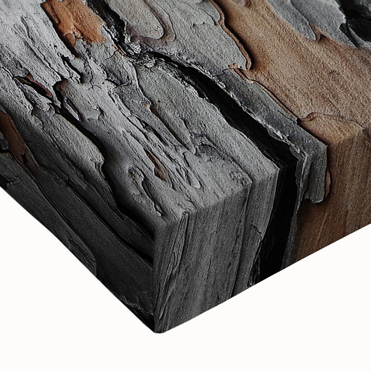 Rustic Tree Bark Texture Wall Art – Nature-Inspired Farmhouse Decor