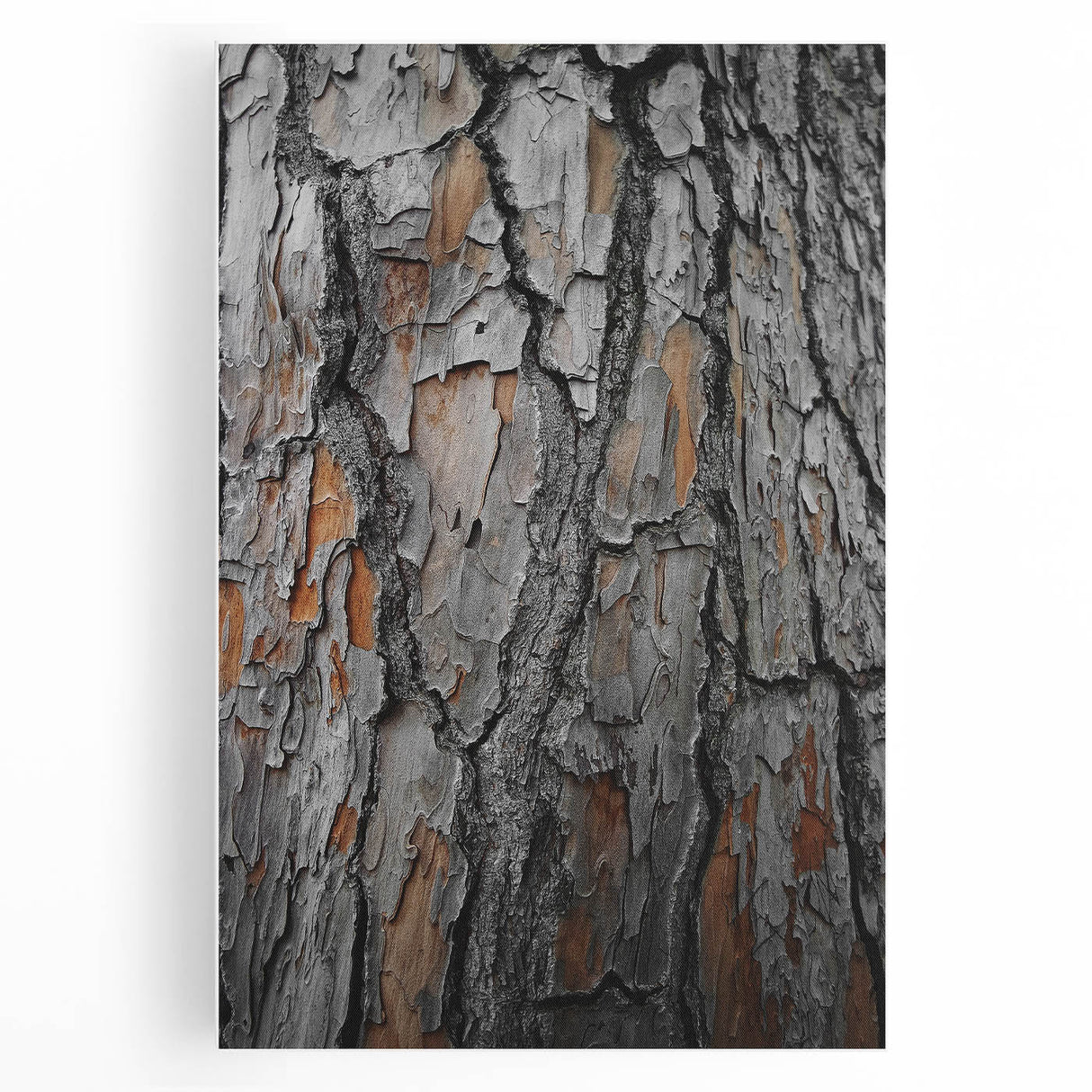 Rustic Tree Bark Texture Wall Art – Nature-Inspired Farmhouse Decor