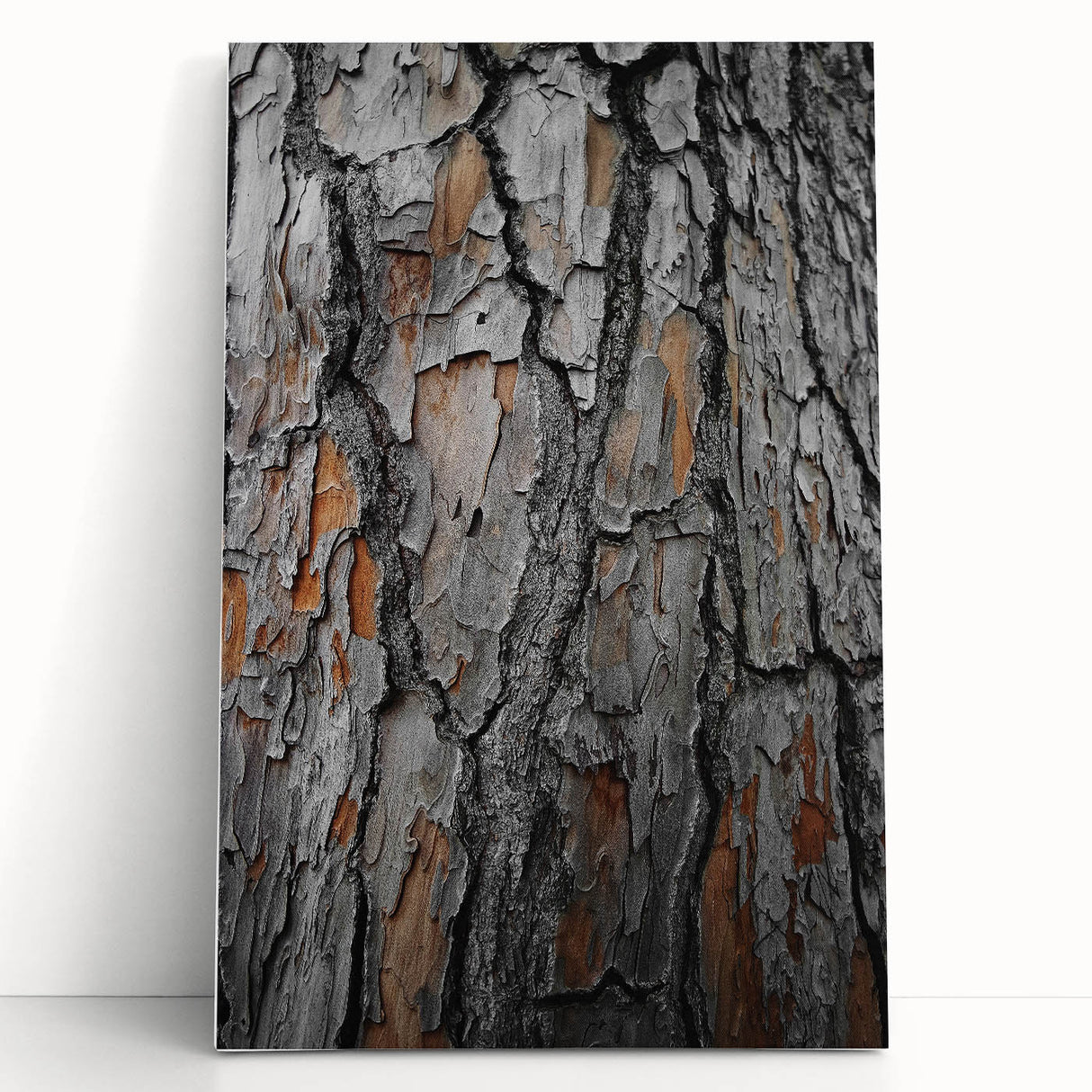 Rustic Tree Bark Texture Wall Art – Nature-Inspired Farmhouse Decor