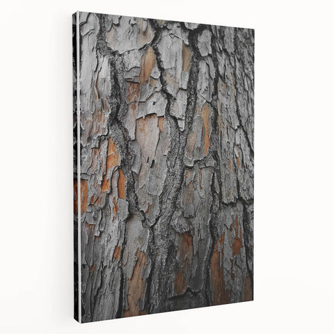 Rustic Tree Bark Texture Wall Art – Nature-Inspired Farmhouse Decor
