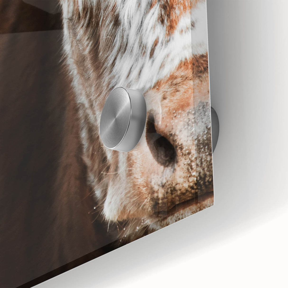 Rustic Cow Close-Up Wall Art – Farmhouse Animal Decor for Cozy Spaces