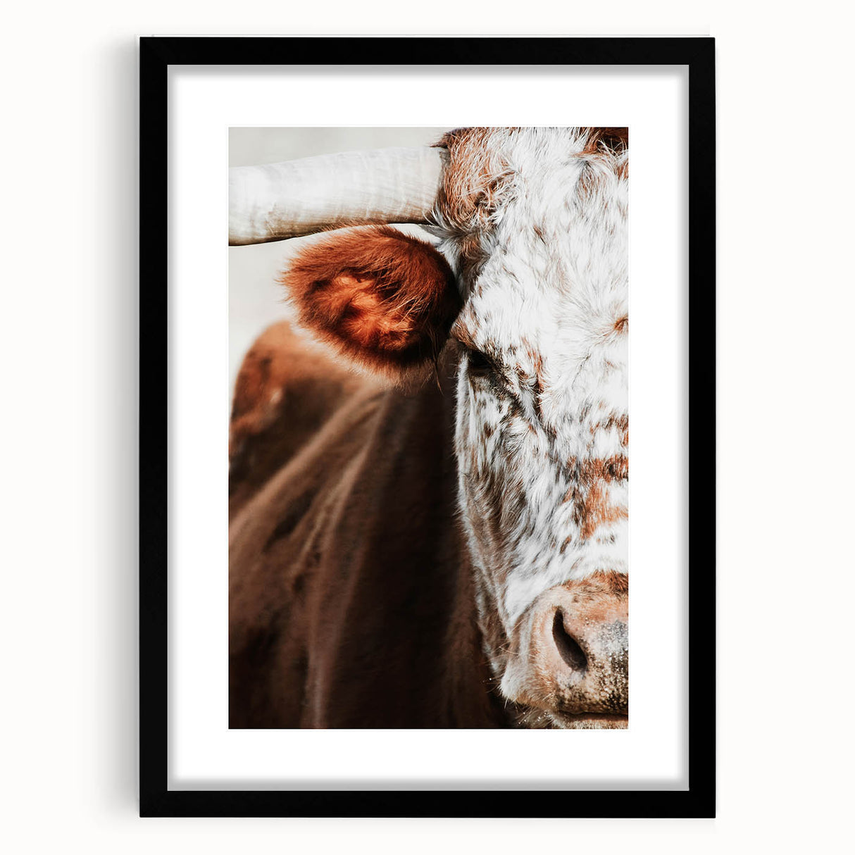Rustic Cow Close-Up Wall Art – Farmhouse Animal Decor for Cozy Spaces