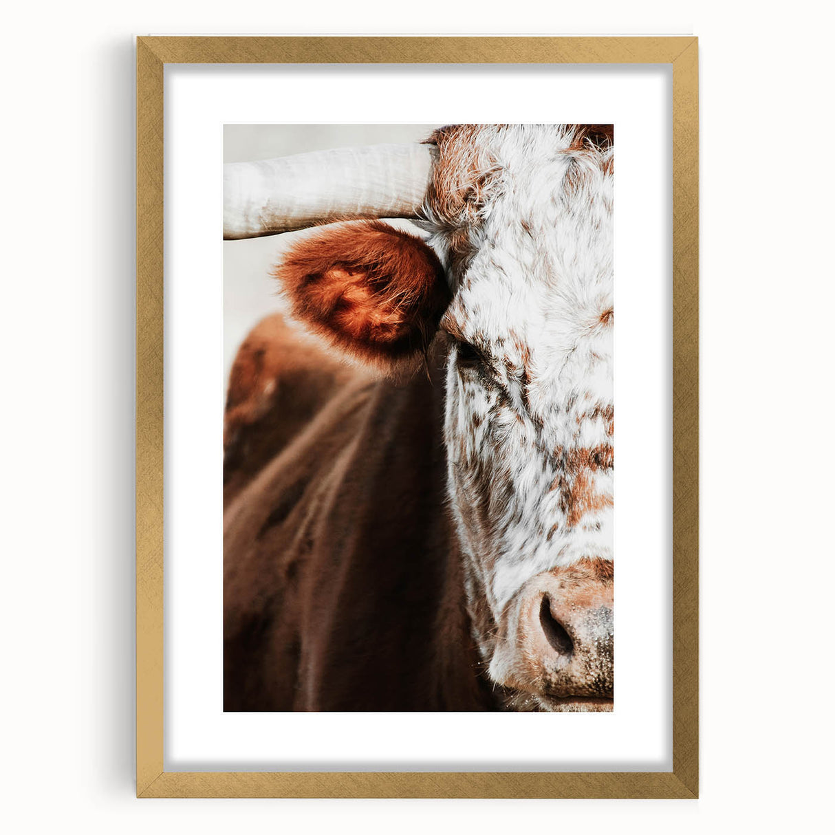Rustic Cow Close-Up Wall Art – Farmhouse Animal Decor for Cozy Spaces