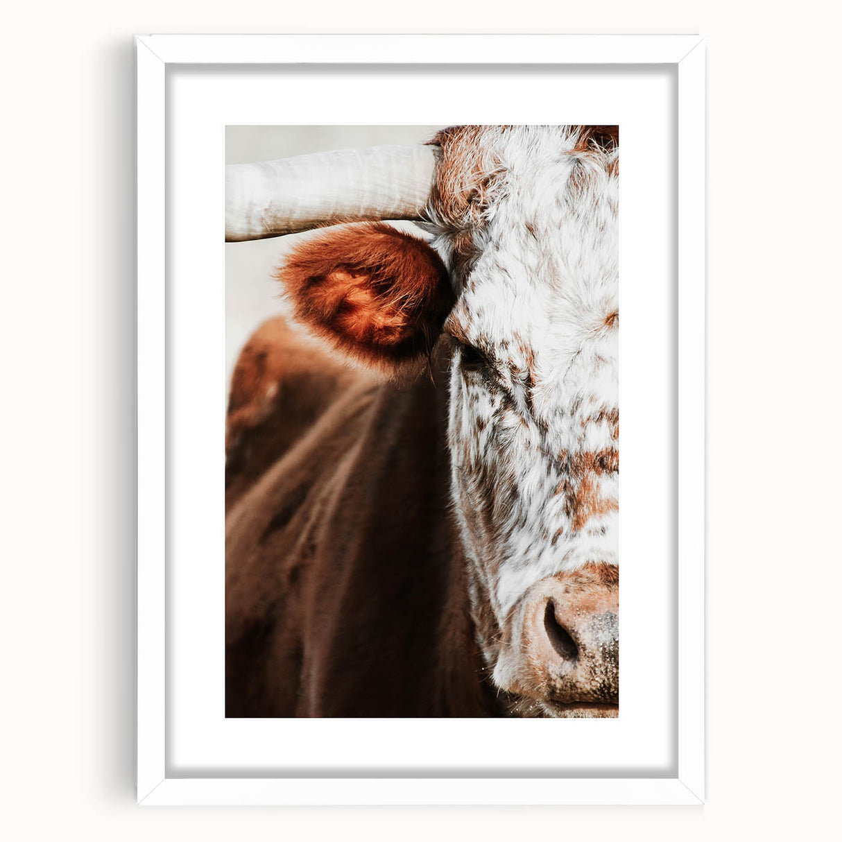 Rustic Cow Close-Up Wall Art – Farmhouse Animal Decor for Cozy Spaces