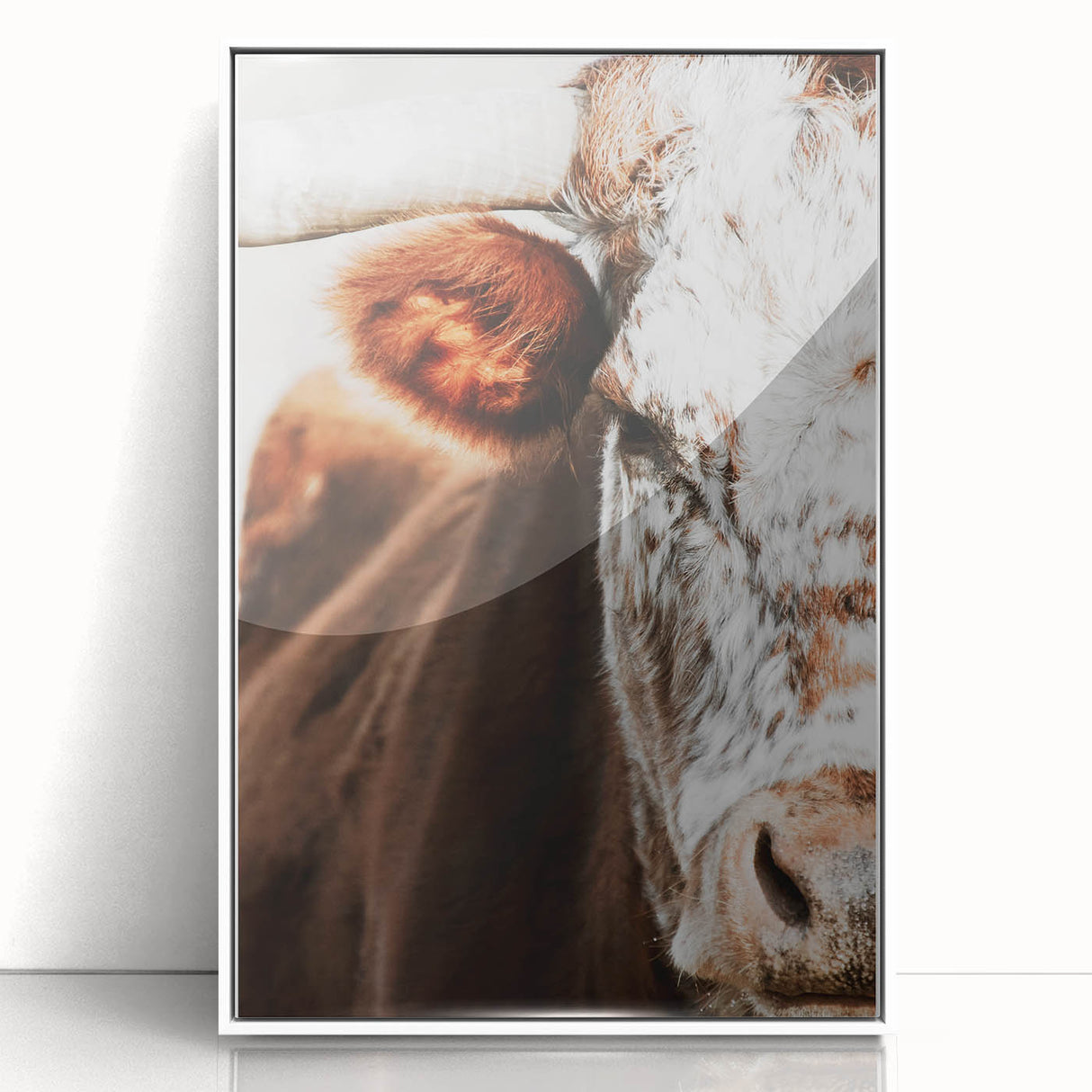 Rustic Cow Close-Up Wall Art – Farmhouse Animal Decor for Cozy Spaces