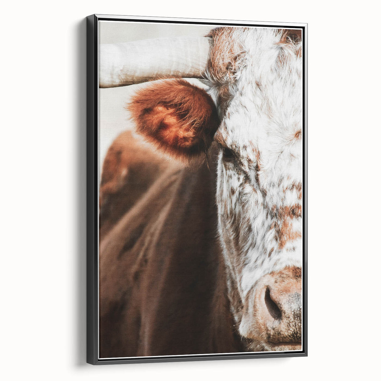 Rustic Cow Close-Up Wall Art – Farmhouse Animal Decor for Cozy Spaces