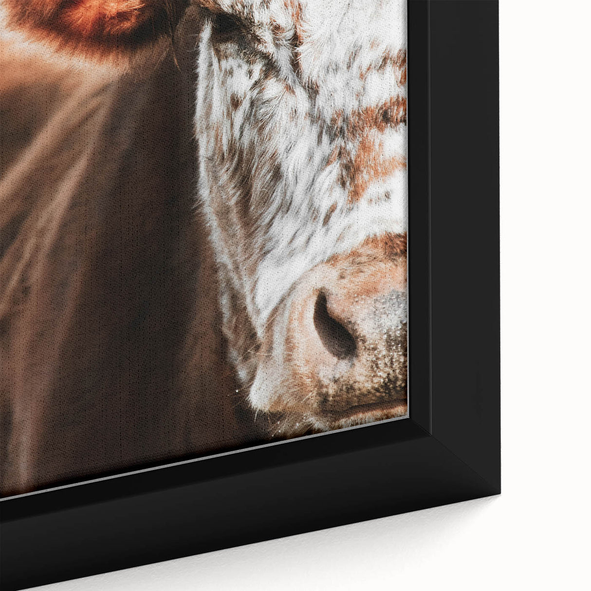 Rustic Cow Close-Up Wall Art – Farmhouse Animal Decor for Cozy Spaces