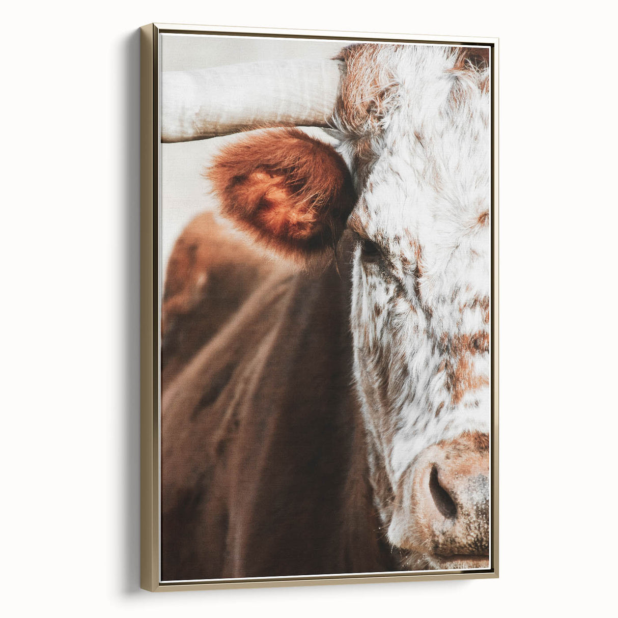 Rustic Cow Close-Up Wall Art – Farmhouse Animal Decor for Cozy Spaces