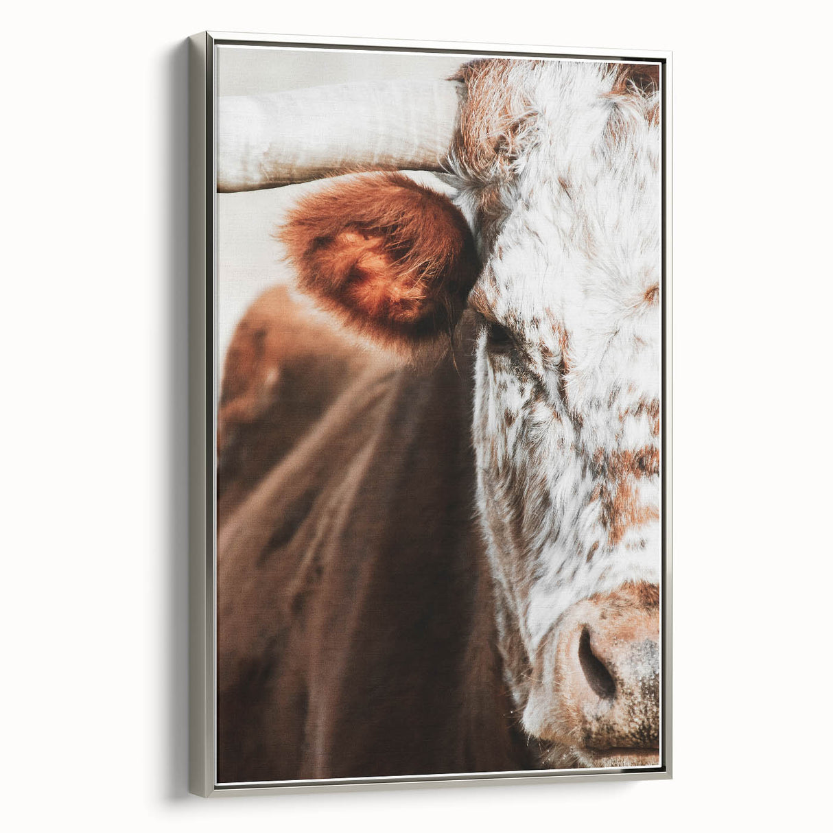 Rustic Cow Close-Up Wall Art – Farmhouse Animal Decor for Cozy Spaces