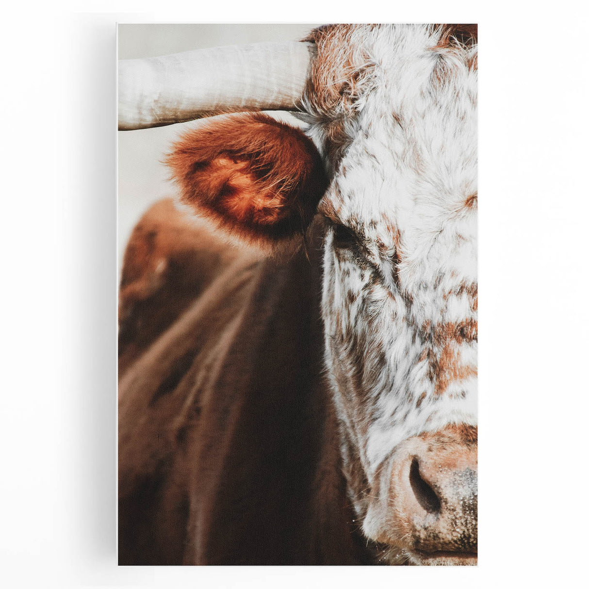 Rustic Cow Close-Up Wall Art – Farmhouse Animal Decor for Cozy Spaces