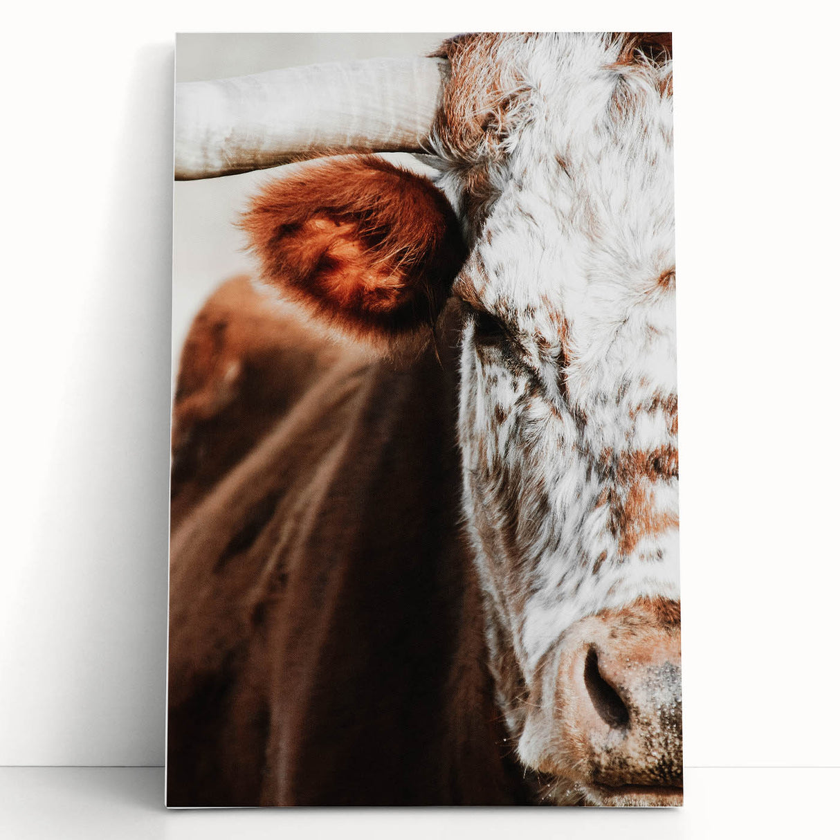 Rustic Cow Close-Up Wall Art – Farmhouse Animal Decor for Cozy Spaces