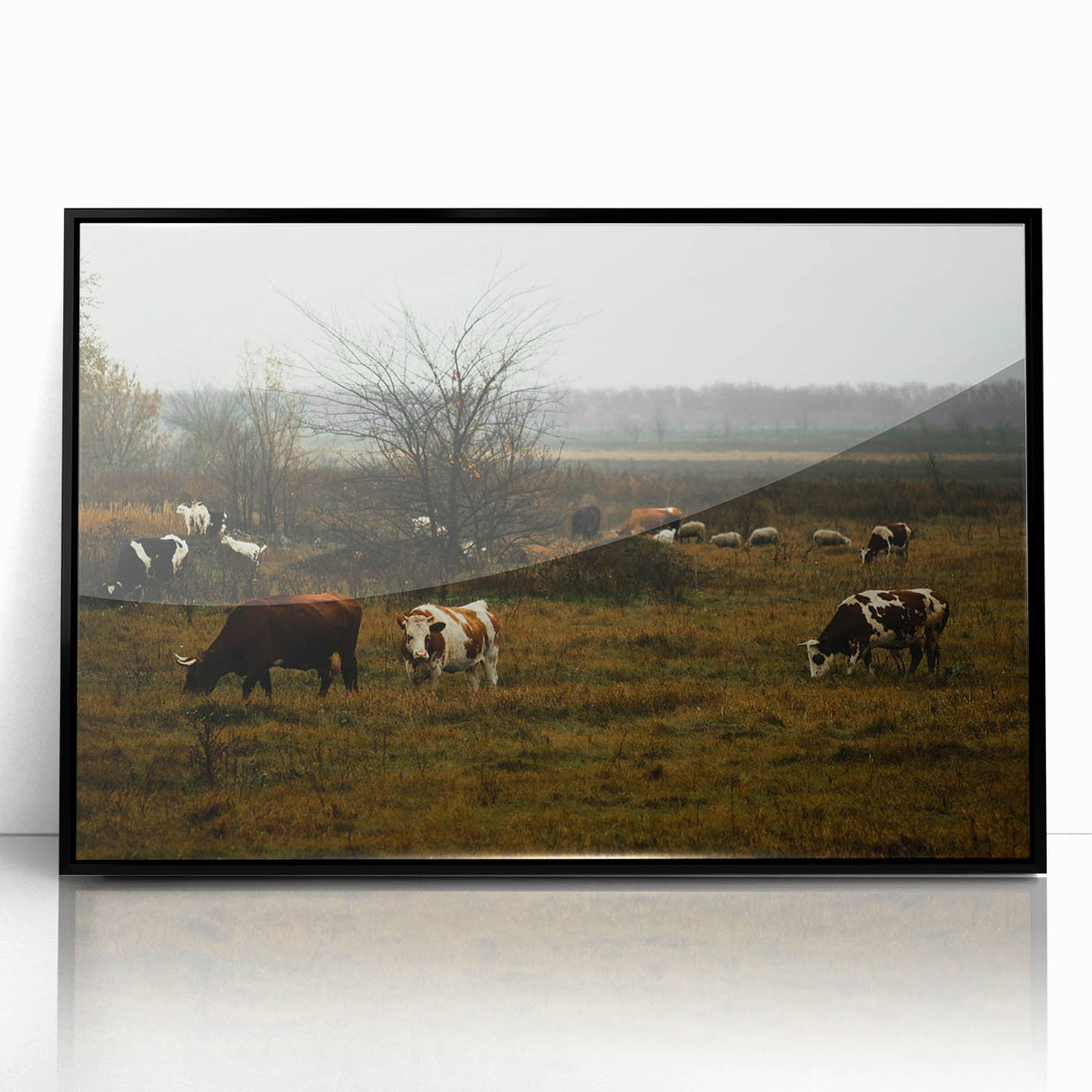 Rustic Farm Landscape Wall Art – Grazing Cows in Serene Pasture Scene