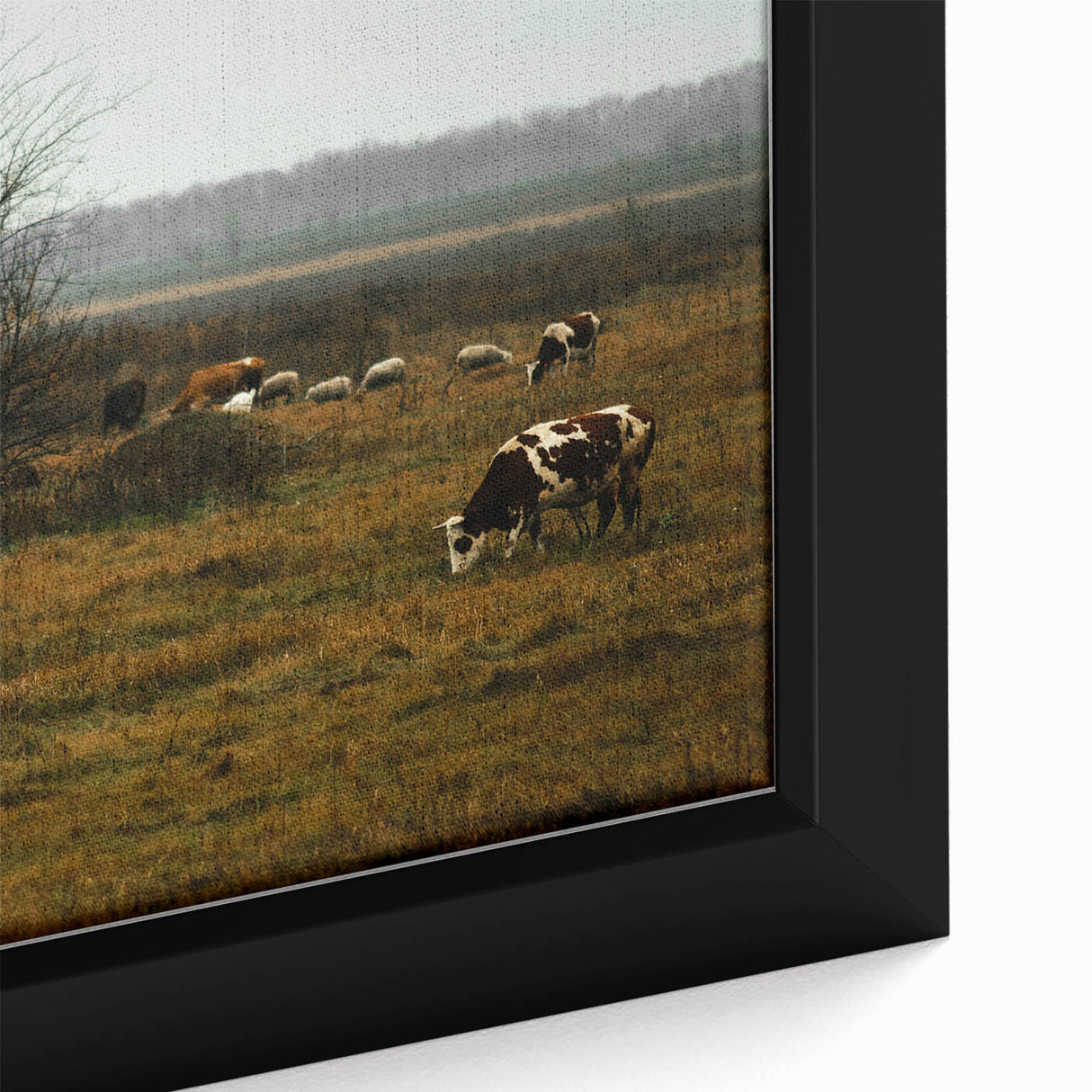 Rustic Farm Landscape Wall Art – Grazing Cows in Serene Pasture Scene