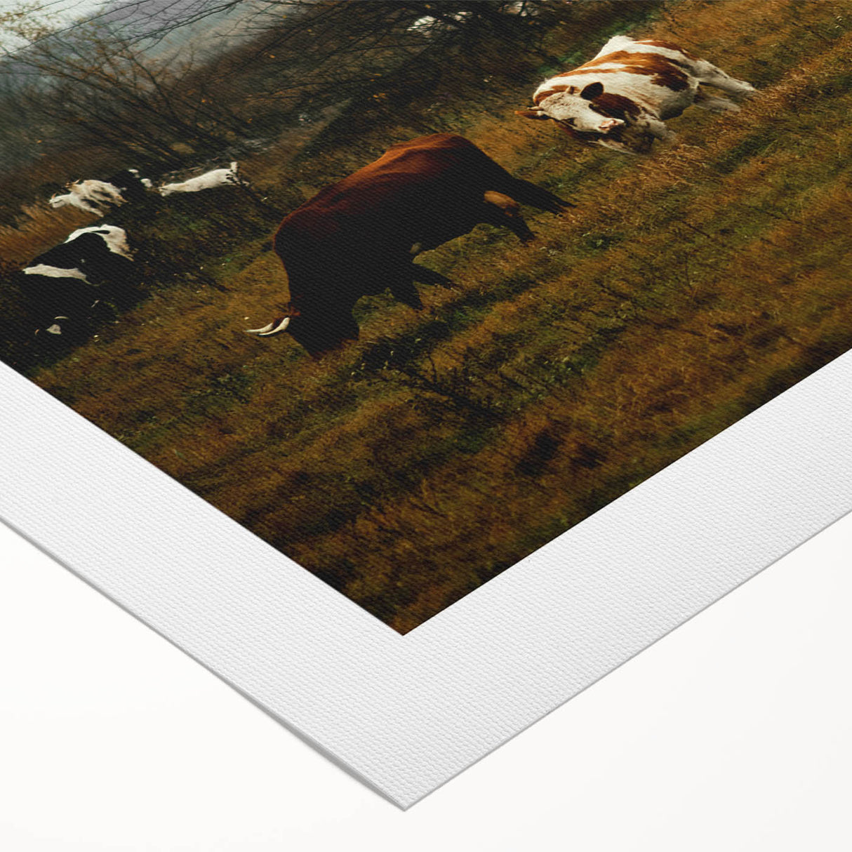Rustic Farm Landscape Wall Art – Grazing Cows in Serene Pasture Scene