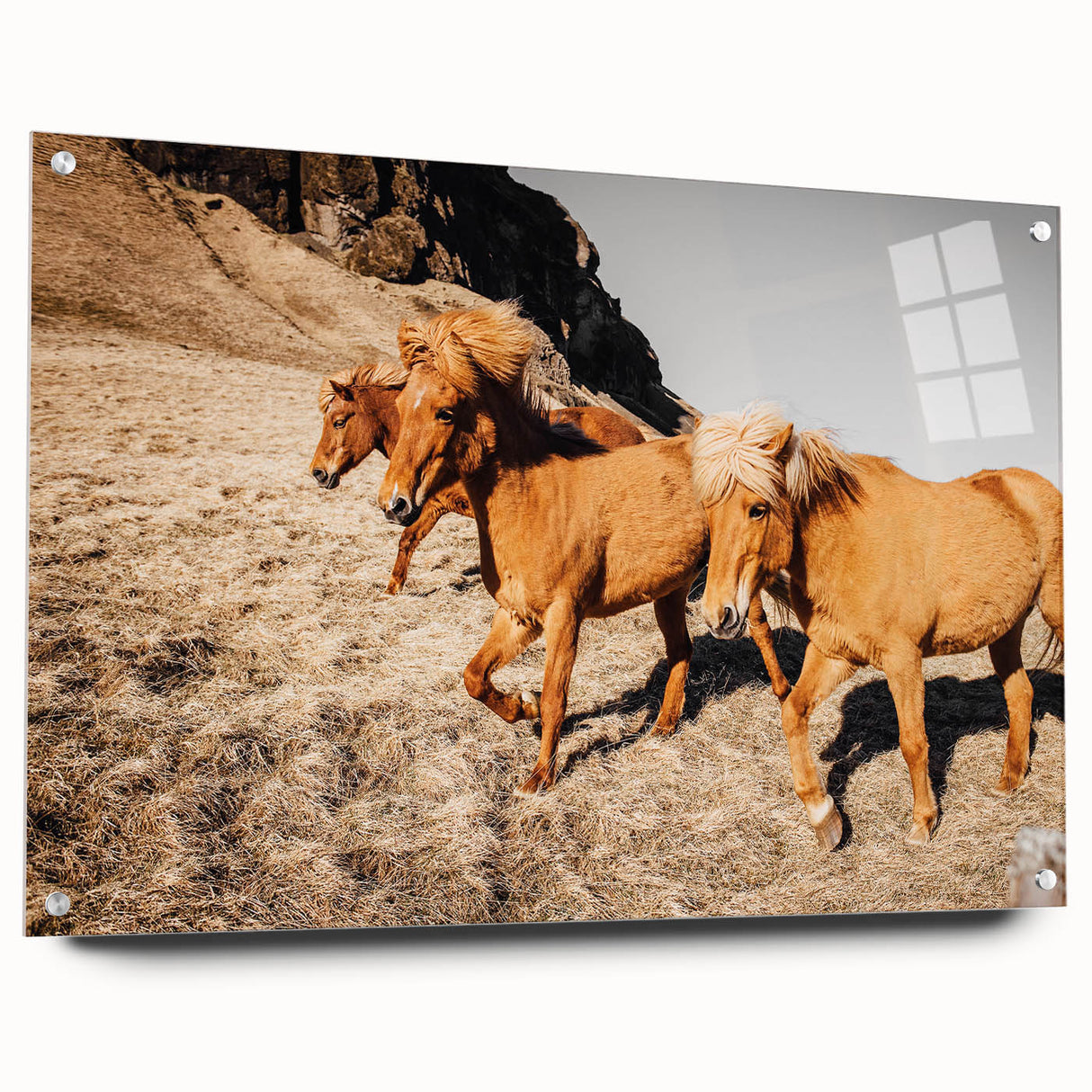 Rustic Horse Wall Art – Wild Horses Running in a Countryside Scene