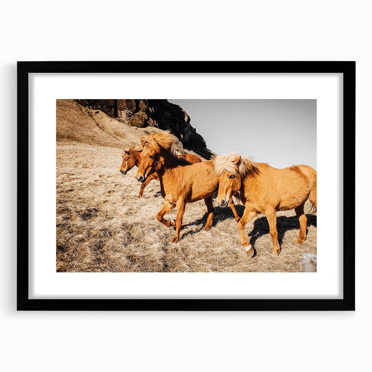 Rustic Horse Wall Art – Wild Horses Running in a Countryside Scene