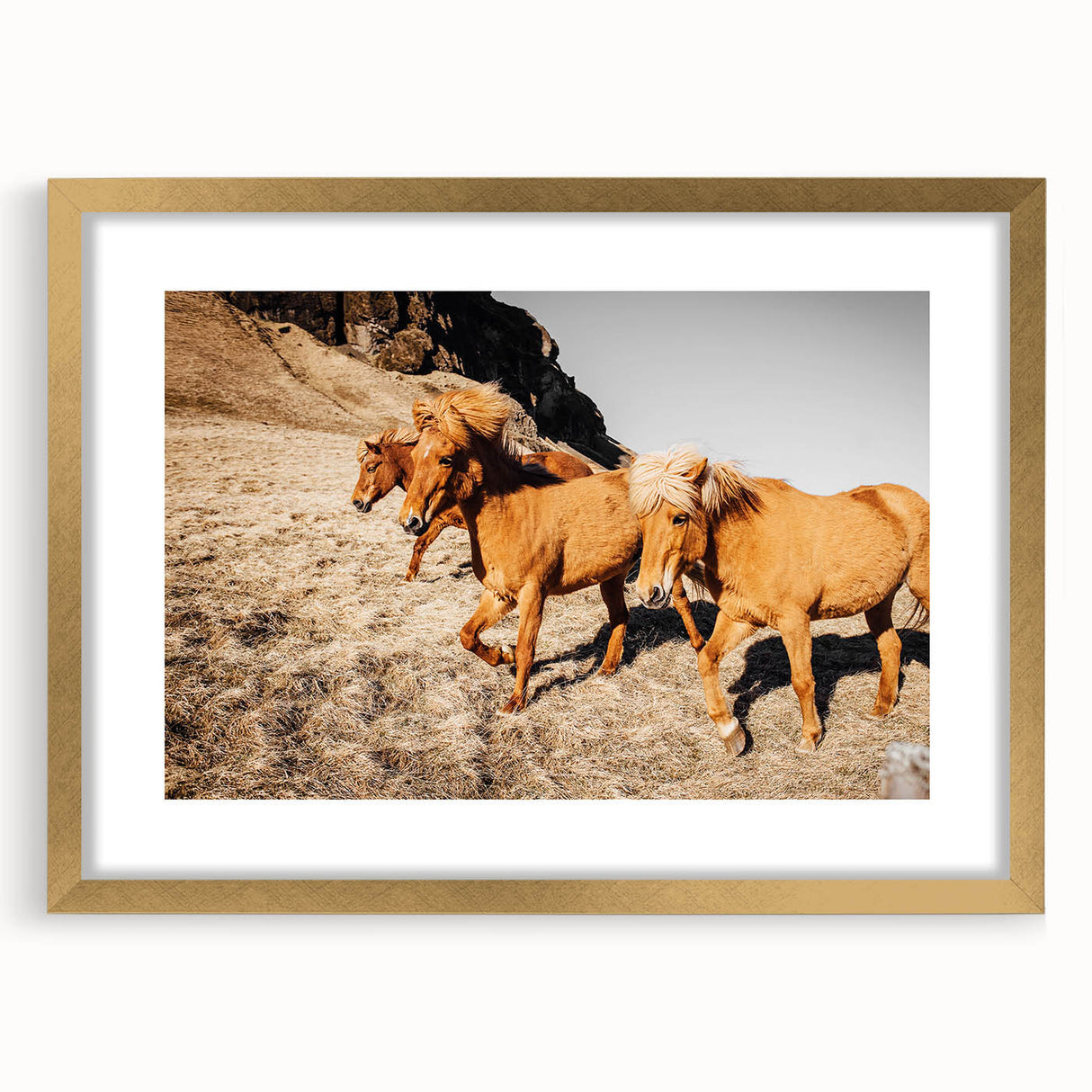 Rustic Horse Wall Art – Wild Horses Running in a Countryside Scene
