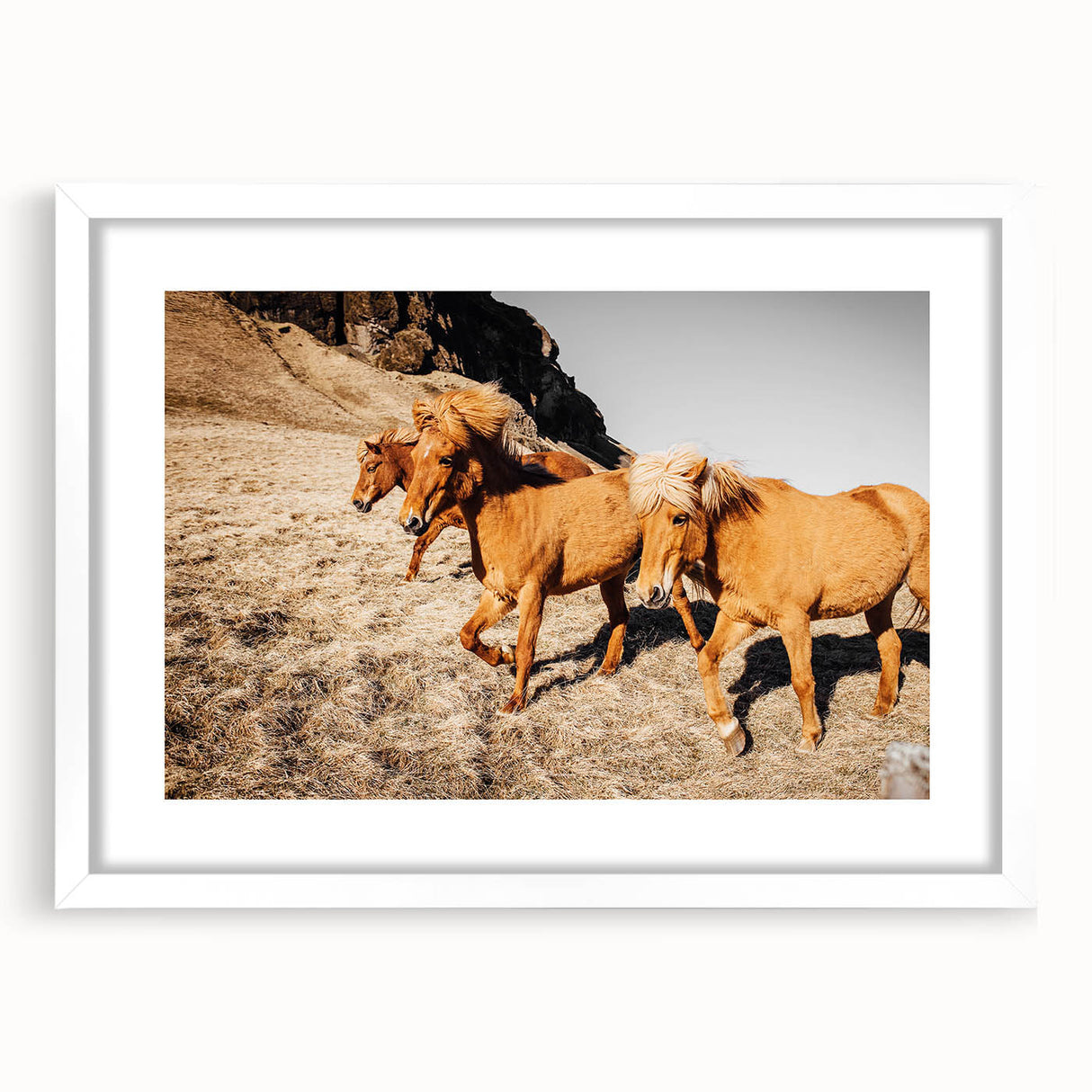Rustic Horse Wall Art – Wild Horses Running in a Countryside Scene