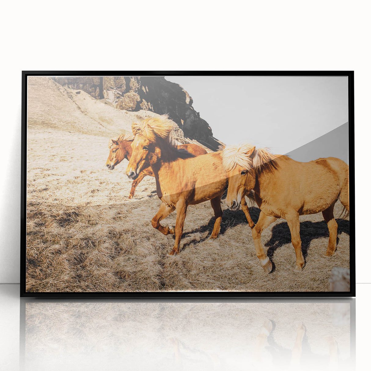 Rustic Horse Wall Art – Wild Horses Running in a Countryside Scene