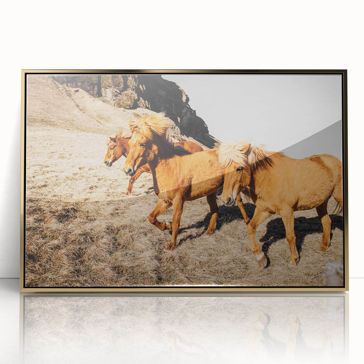 Rustic Horse Wall Art – Wild Horses Running in a Countryside Scene