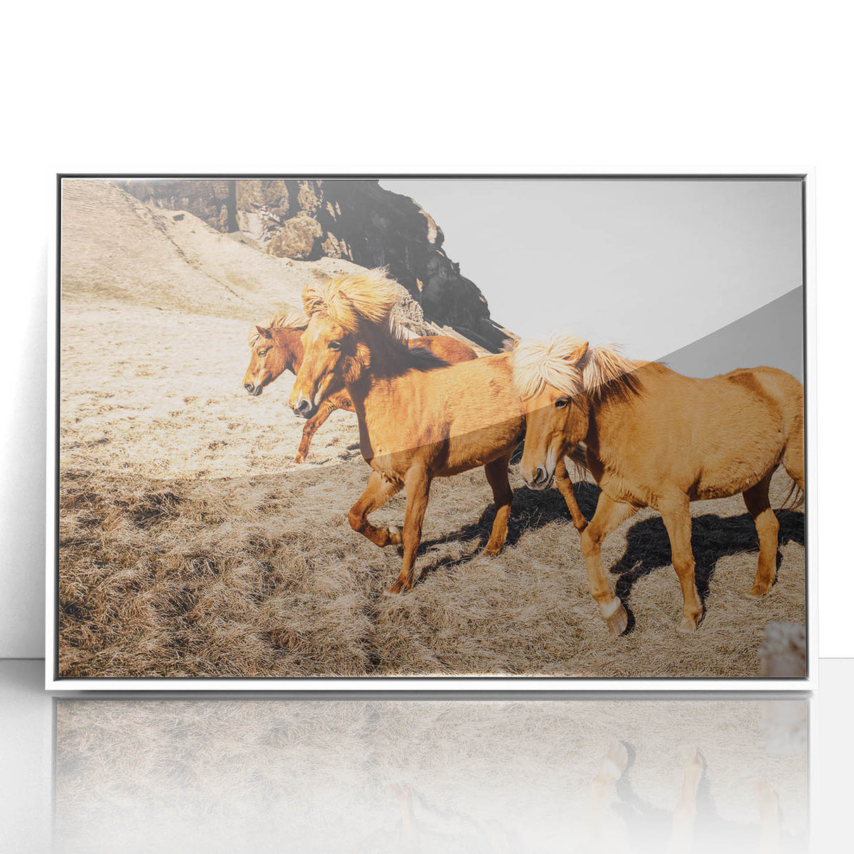Rustic Horse Wall Art – Wild Horses Running in a Countryside Scene