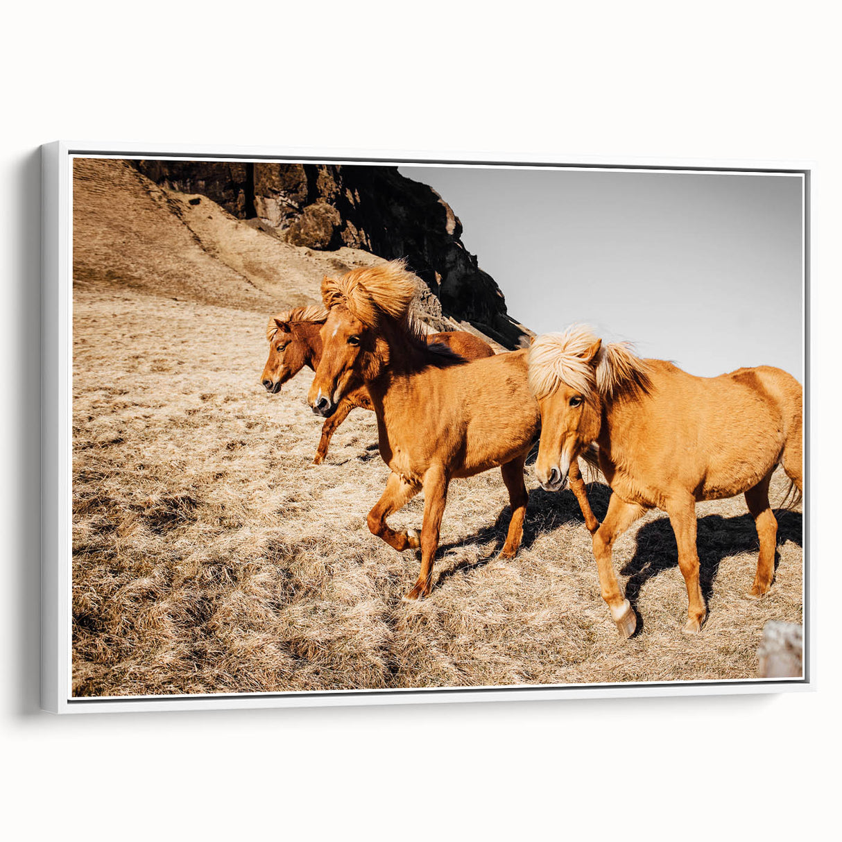 Rustic Horse Wall Art – Wild Horses Running in a Countryside Scene