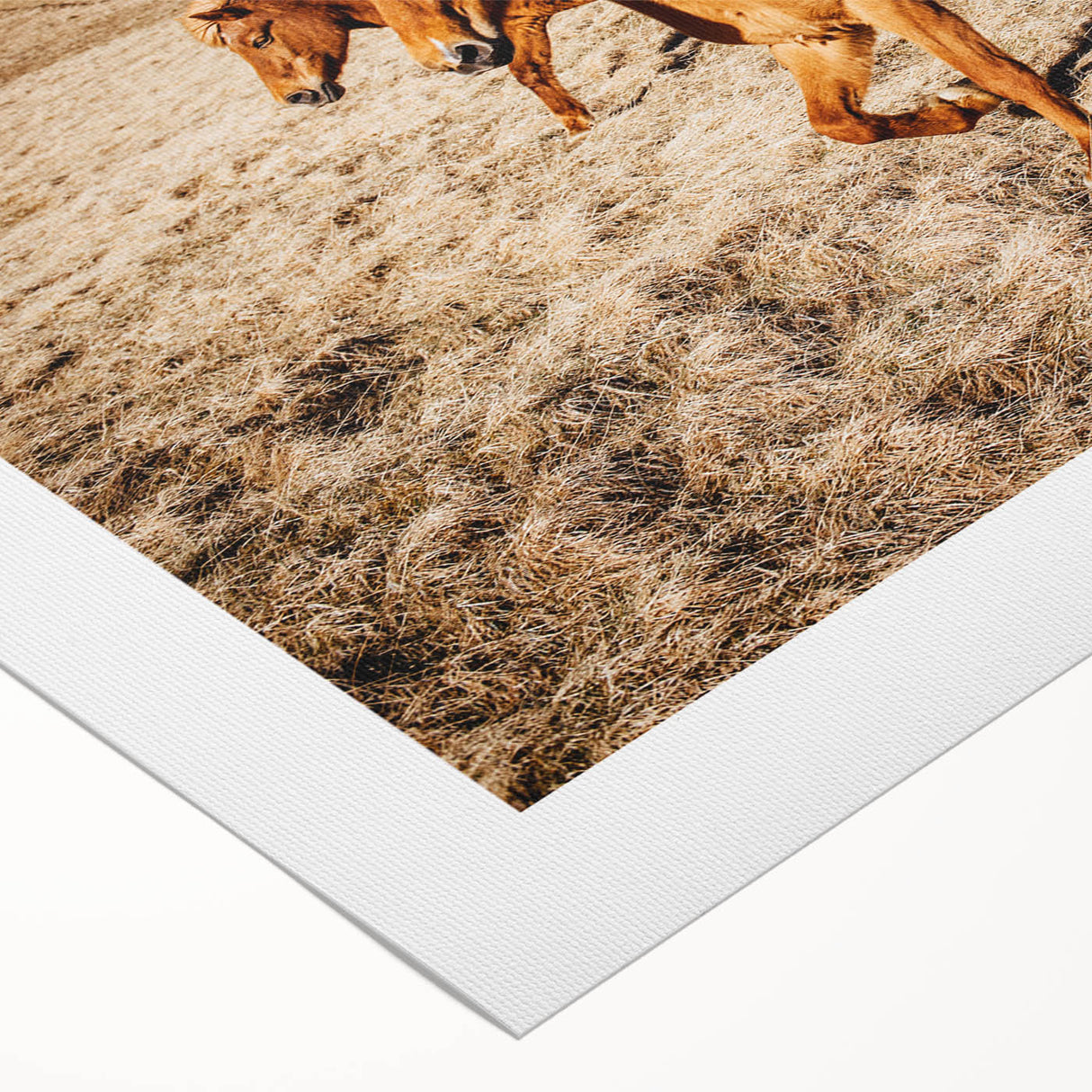 Rustic Horse Wall Art – Wild Horses Running in a Countryside Scene