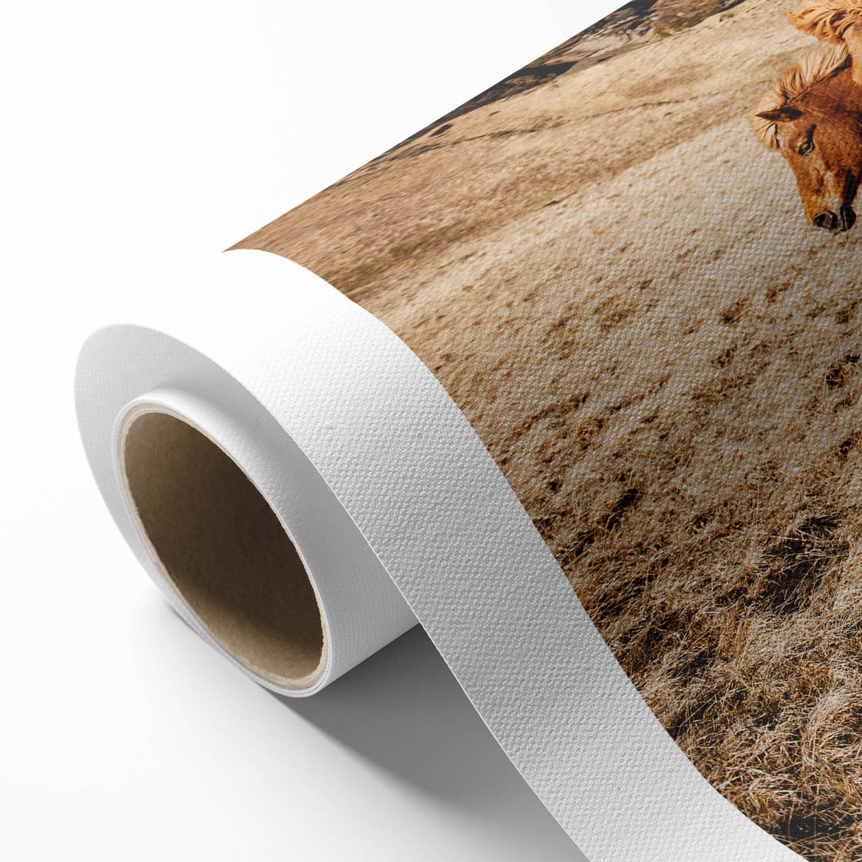 Rustic Horse Wall Art – Wild Horses Running in a Countryside Scene