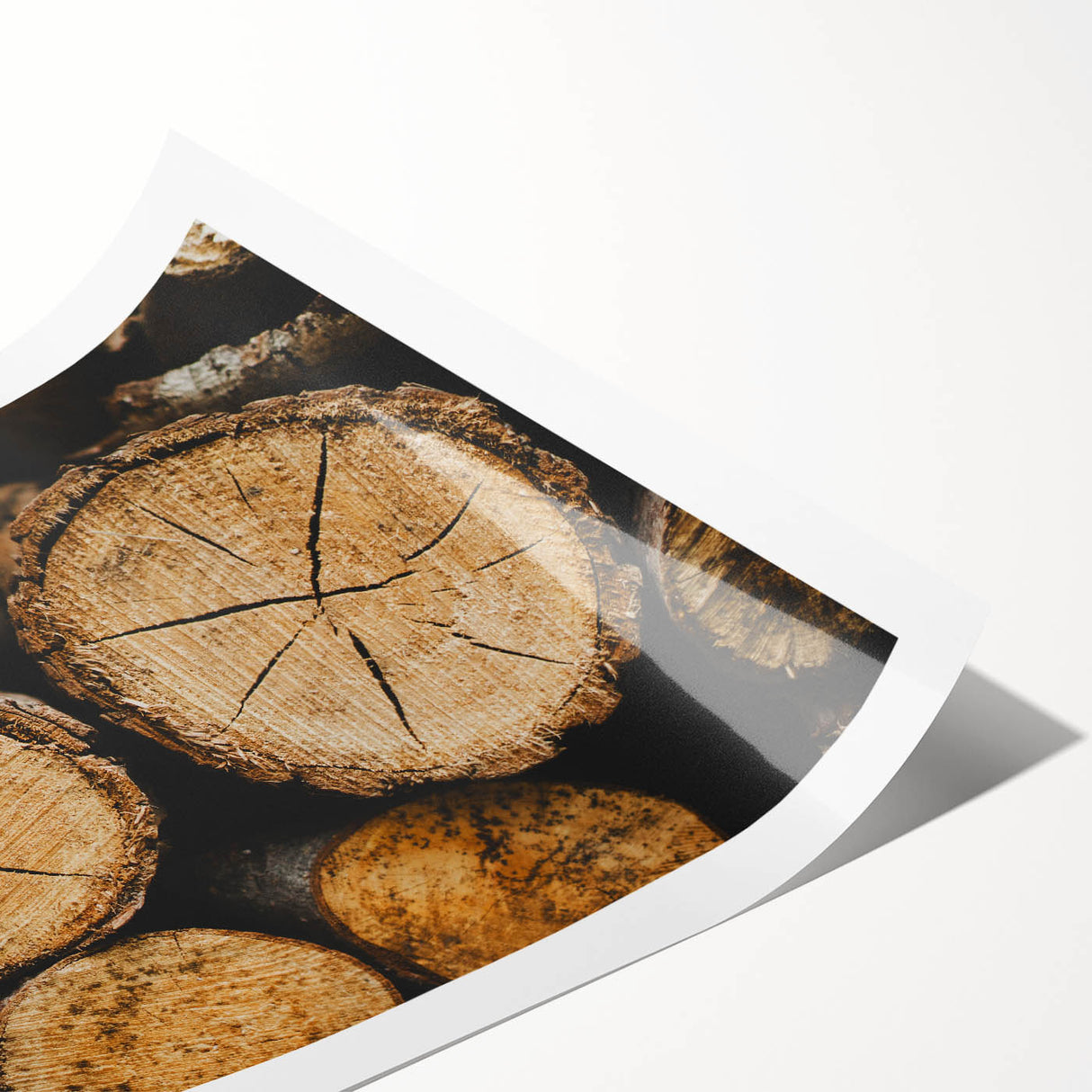 Rustic Log Close-Up Wall Art – Textured Firewood for Farmhouse Decor