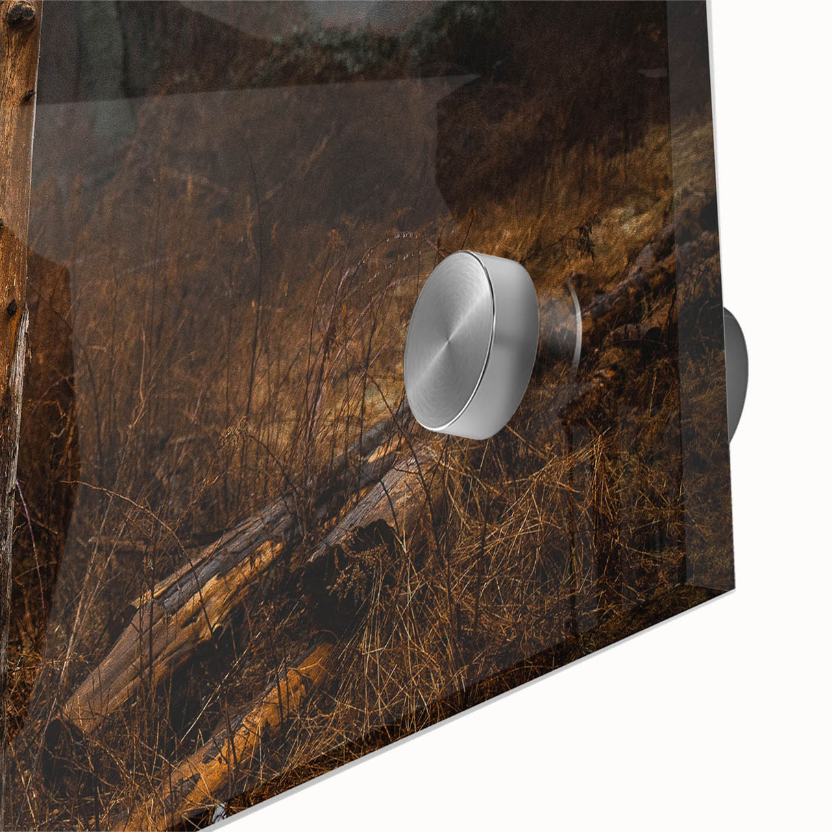 Rustic Nature Wall Art – Weathered Wooden Fence Posts in Forest Scene