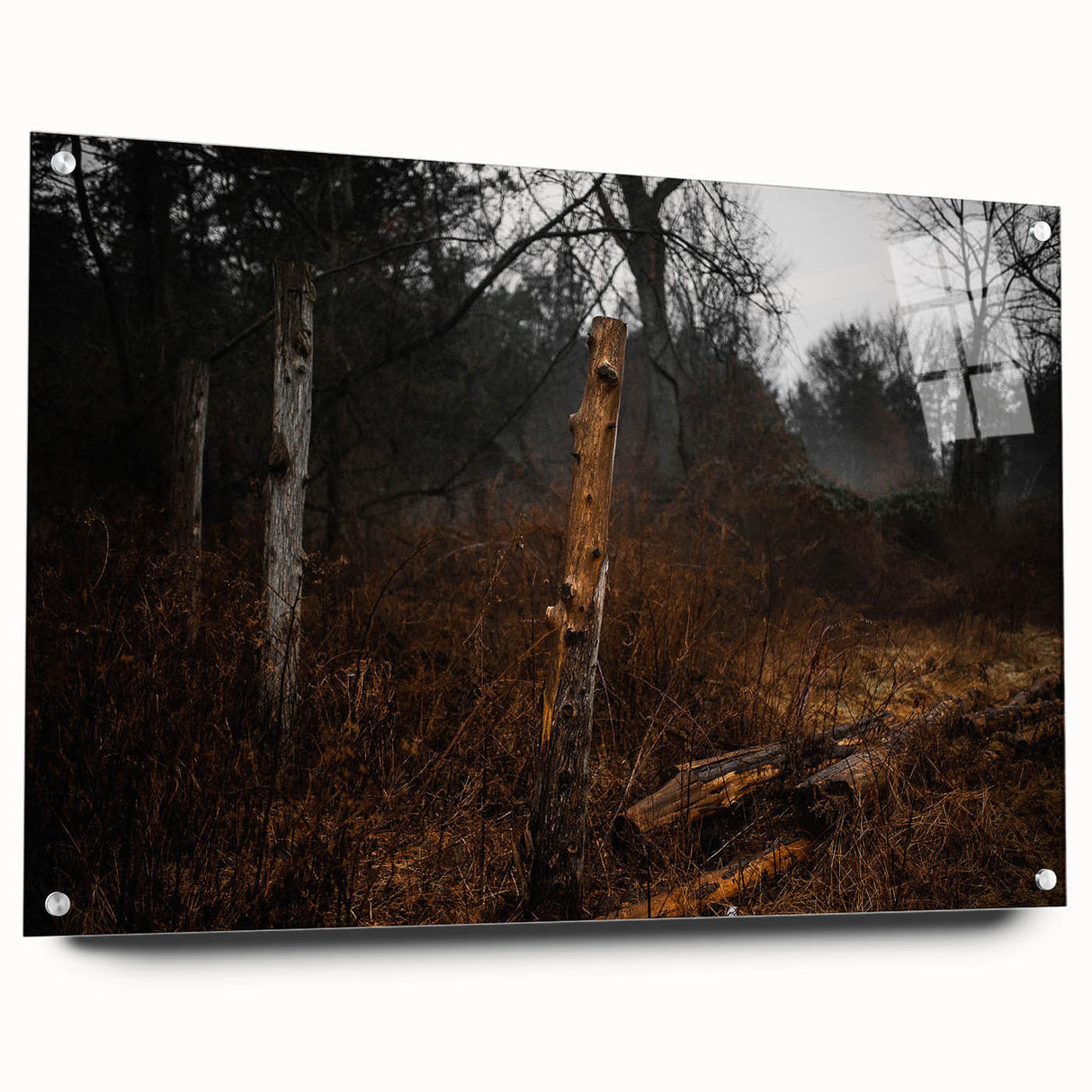 Rustic Nature Wall Art – Weathered Wooden Fence Posts in Forest Scene