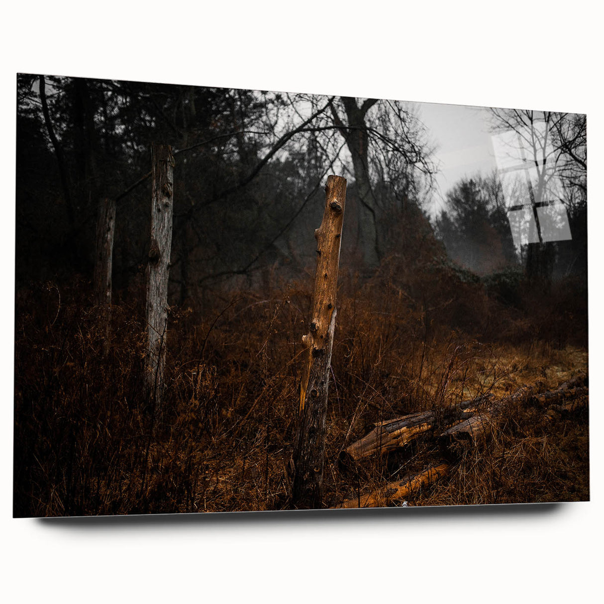 Rustic Nature Wall Art – Weathered Wooden Fence Posts in Forest Scene