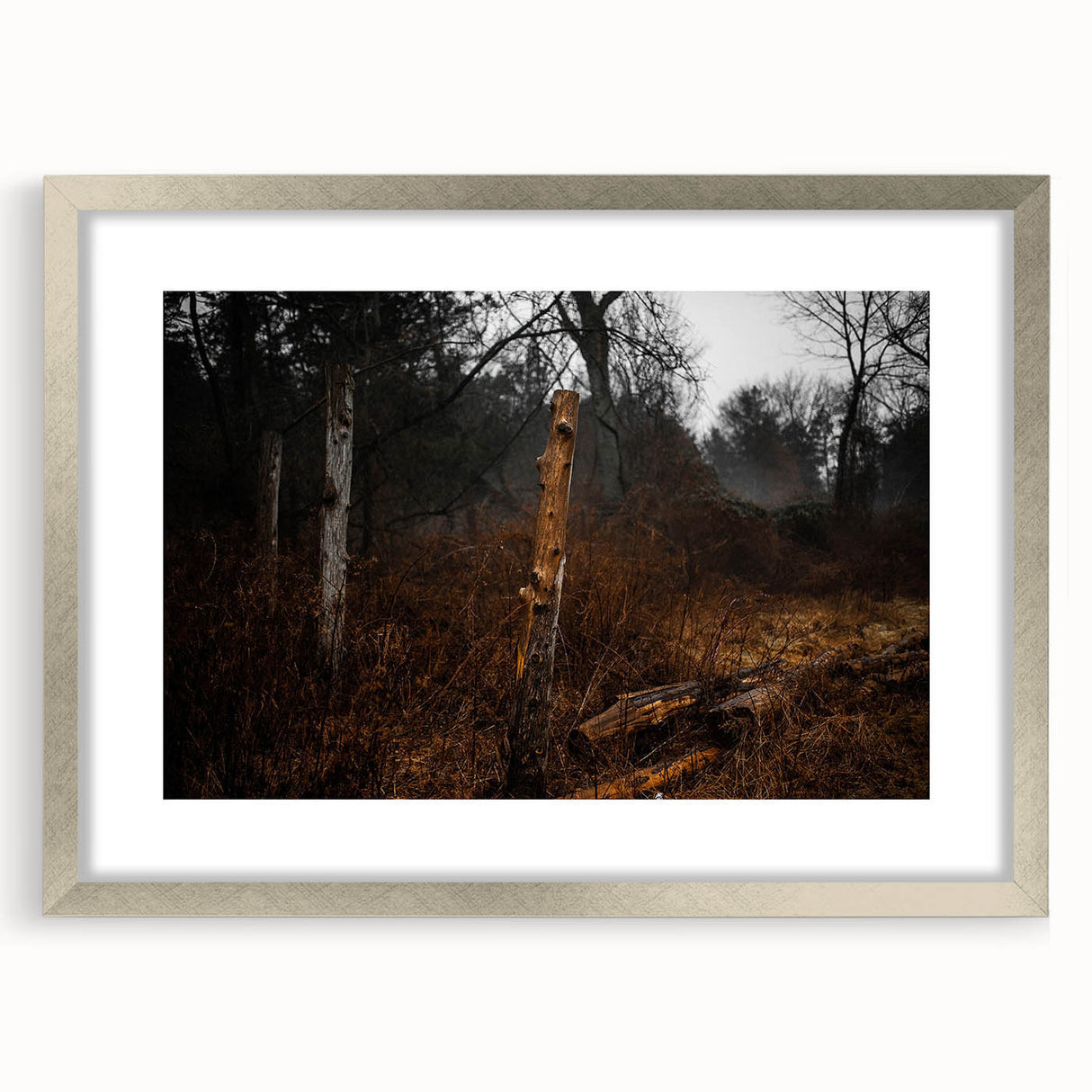 Rustic Nature Wall Art – Weathered Wooden Fence Posts in Forest Scene