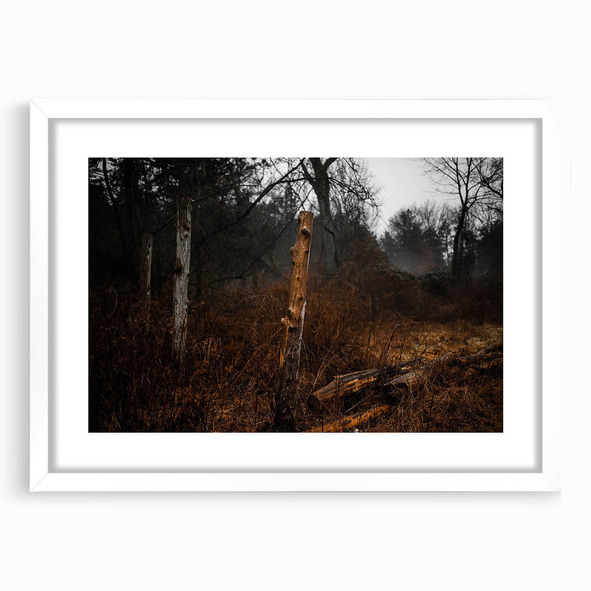 Rustic Nature Wall Art – Weathered Wooden Fence Posts in Forest Scene