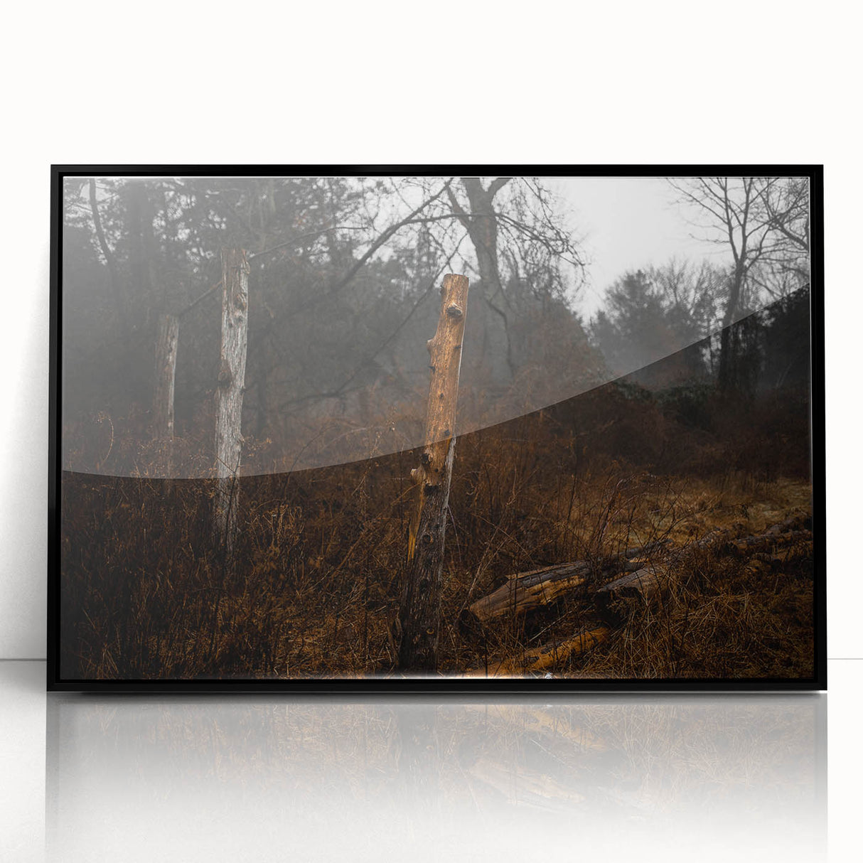 Rustic Nature Wall Art – Weathered Wooden Fence Posts in Forest Scene