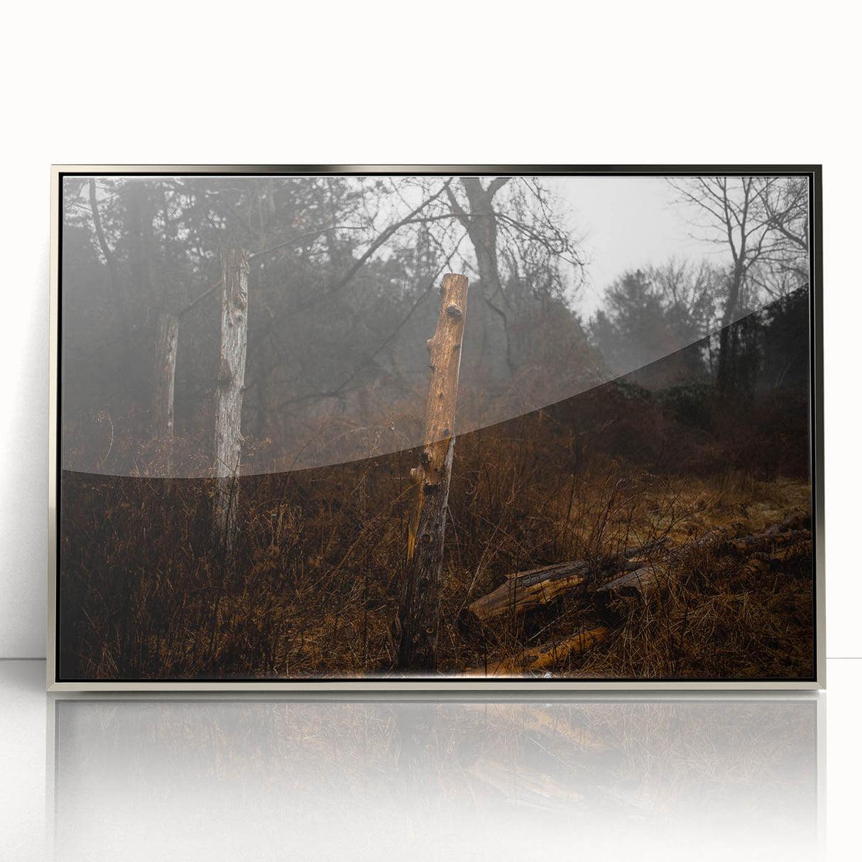 Rustic Nature Wall Art – Weathered Wooden Fence Posts in Forest Scene