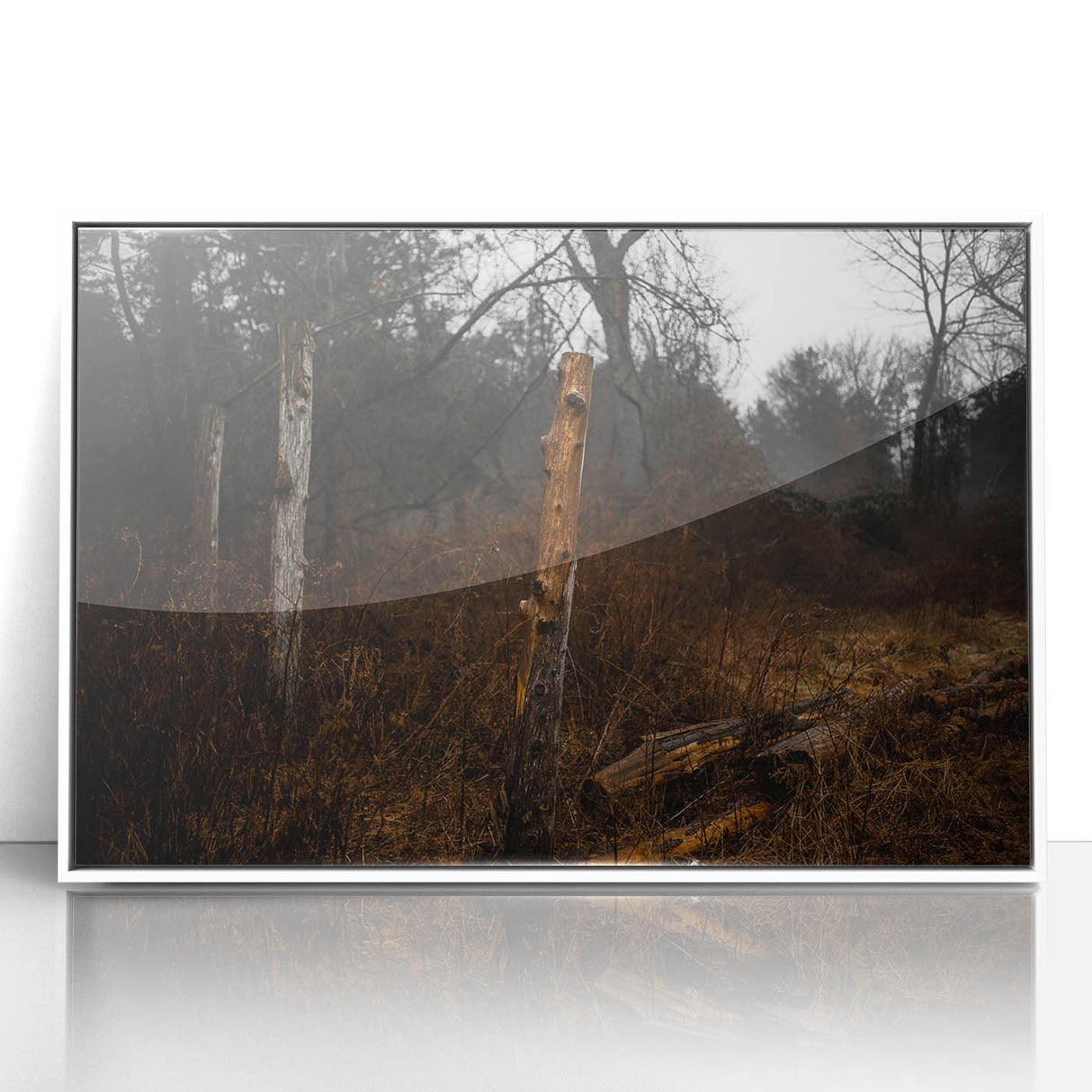 Rustic Nature Wall Art – Weathered Wooden Fence Posts in Forest Scene