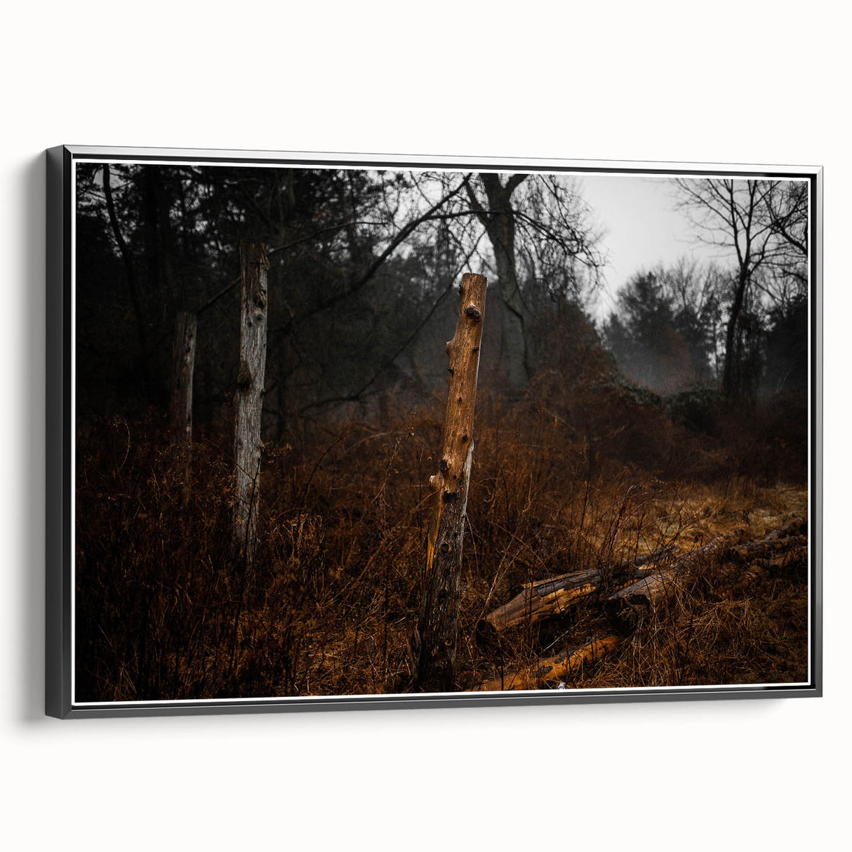 Rustic Nature Wall Art – Weathered Wooden Fence Posts in Forest Scene