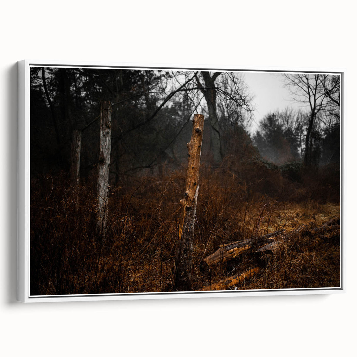 Rustic Nature Wall Art – Weathered Wooden Fence Posts in Forest Scene