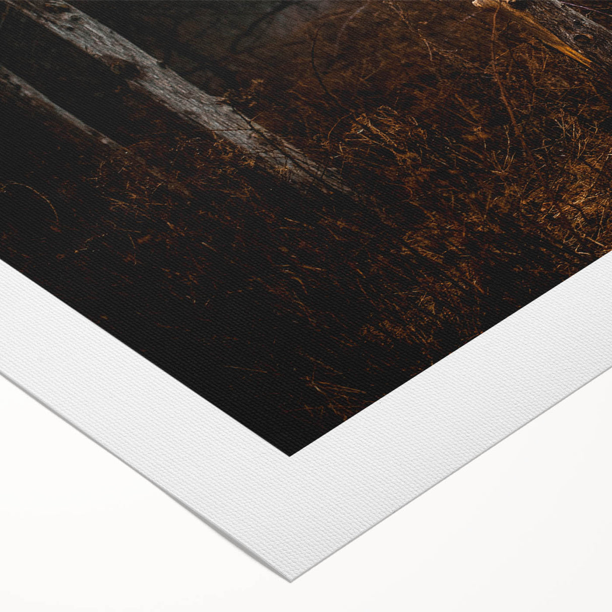 Rustic Nature Wall Art – Weathered Wooden Fence Posts in Forest Scene