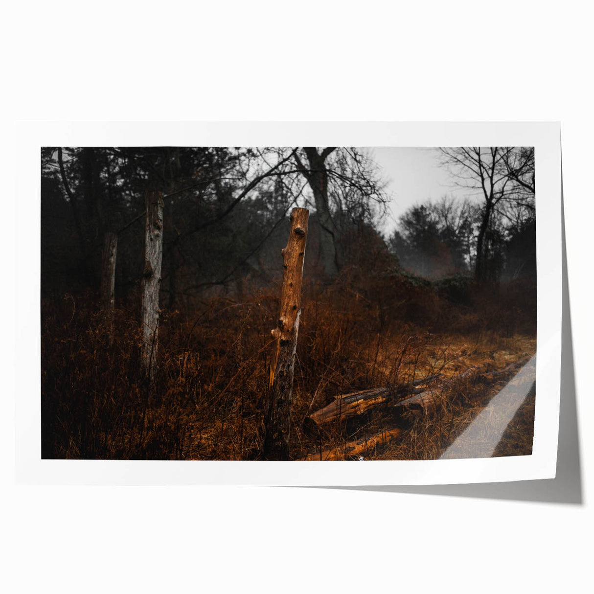 Rustic Nature Wall Art – Weathered Wooden Fence Posts in Forest Scene