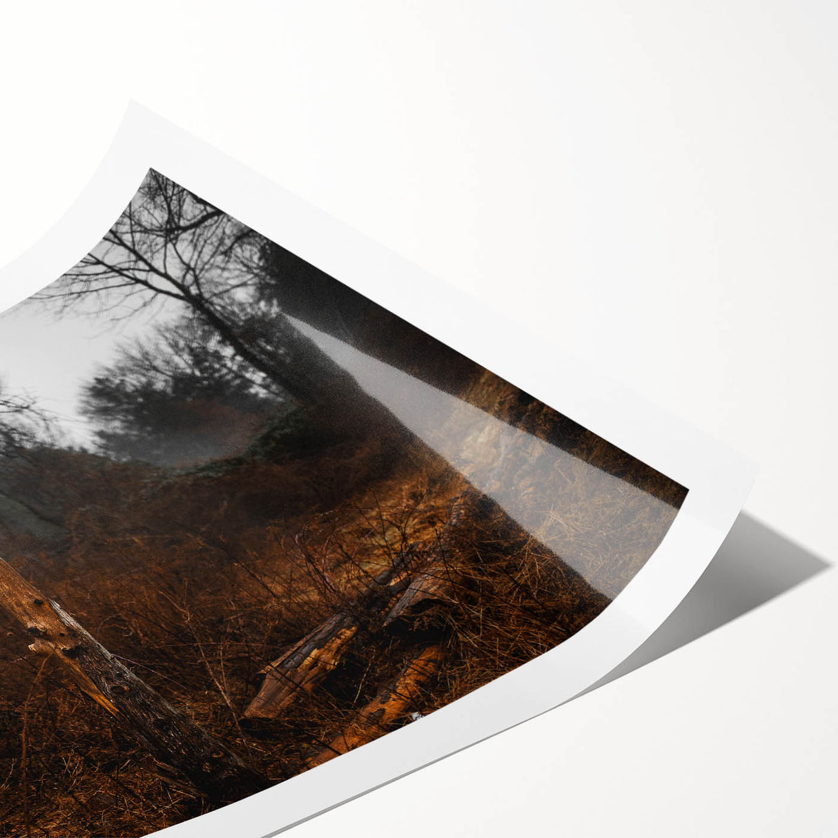 Rustic Nature Wall Art – Weathered Wooden Fence Posts in Forest Scene