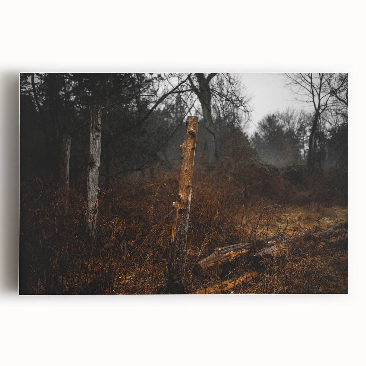 Rustic Nature Wall Art – Weathered Wooden Fence Posts in Forest Scene