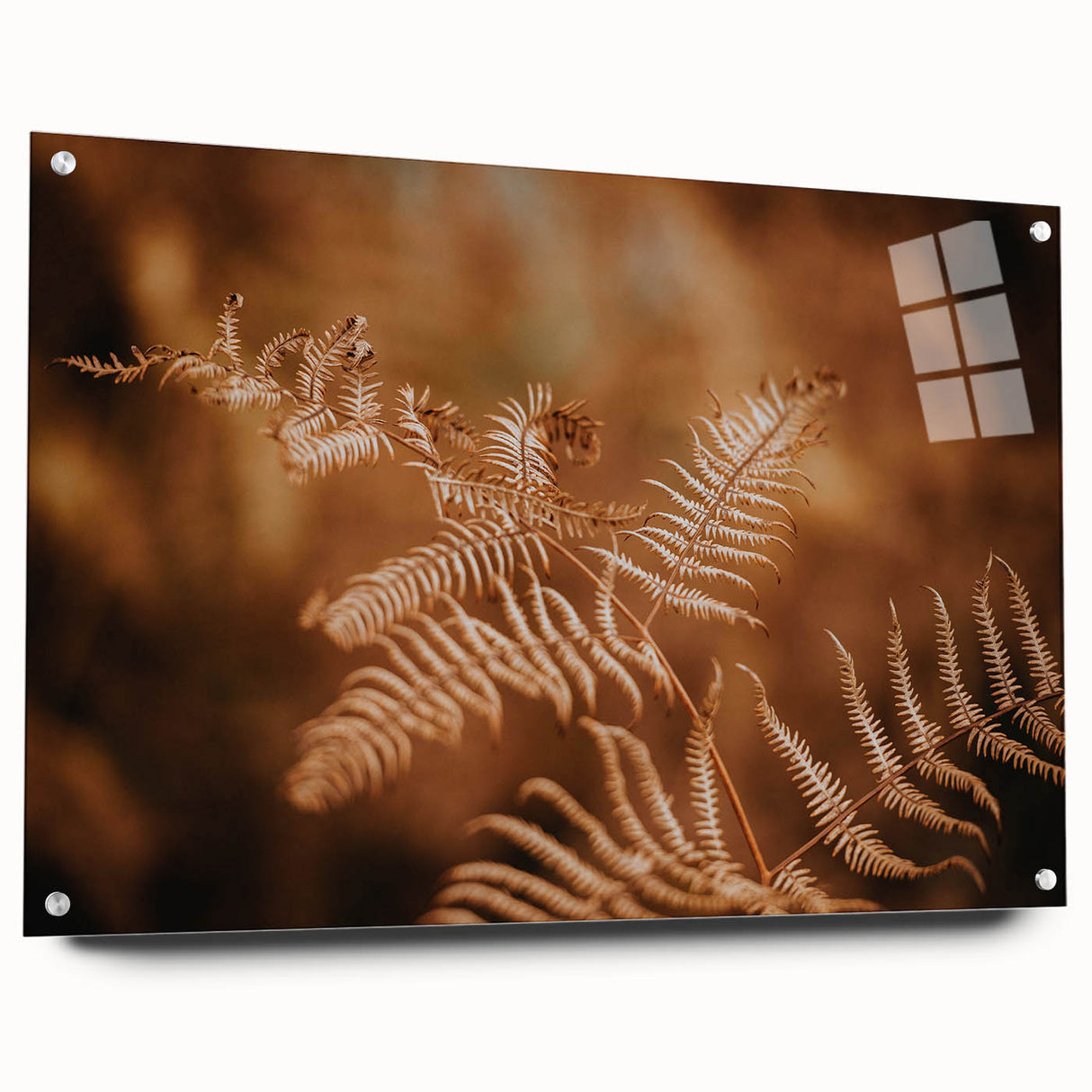 Rustic Fern Wall Art – Delicate Autumn Fern Leaves for Rustic Decor