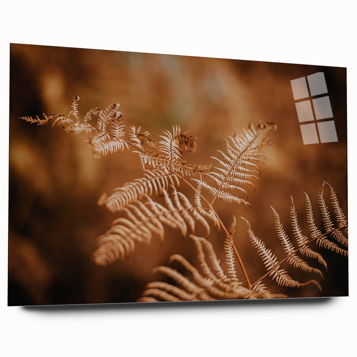 Rustic Fern Wall Art – Delicate Autumn Fern Leaves for Rustic Decor