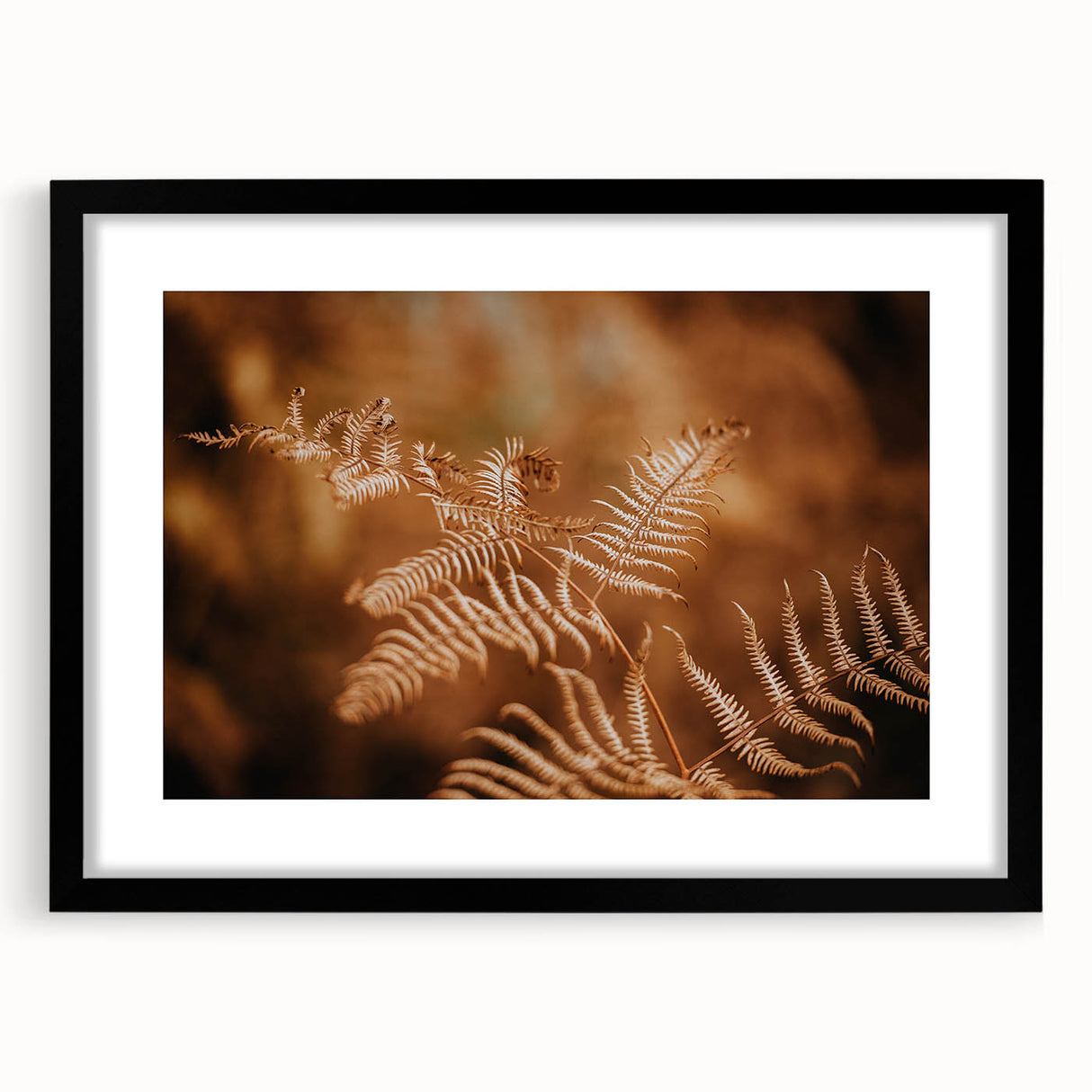 Rustic Fern Wall Art – Delicate Autumn Fern Leaves for Rustic Decor