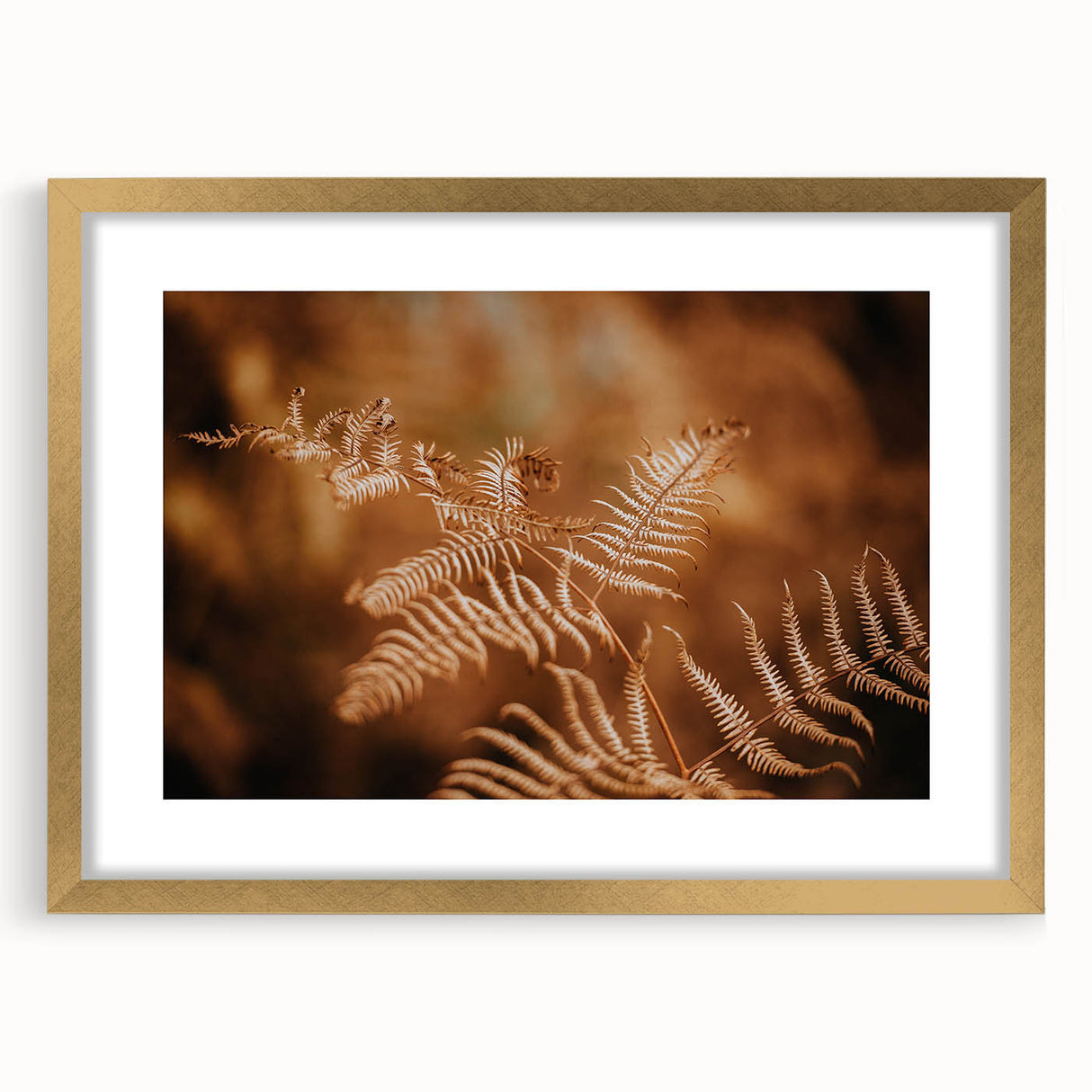 Rustic Fern Wall Art – Delicate Autumn Fern Leaves for Rustic Decor